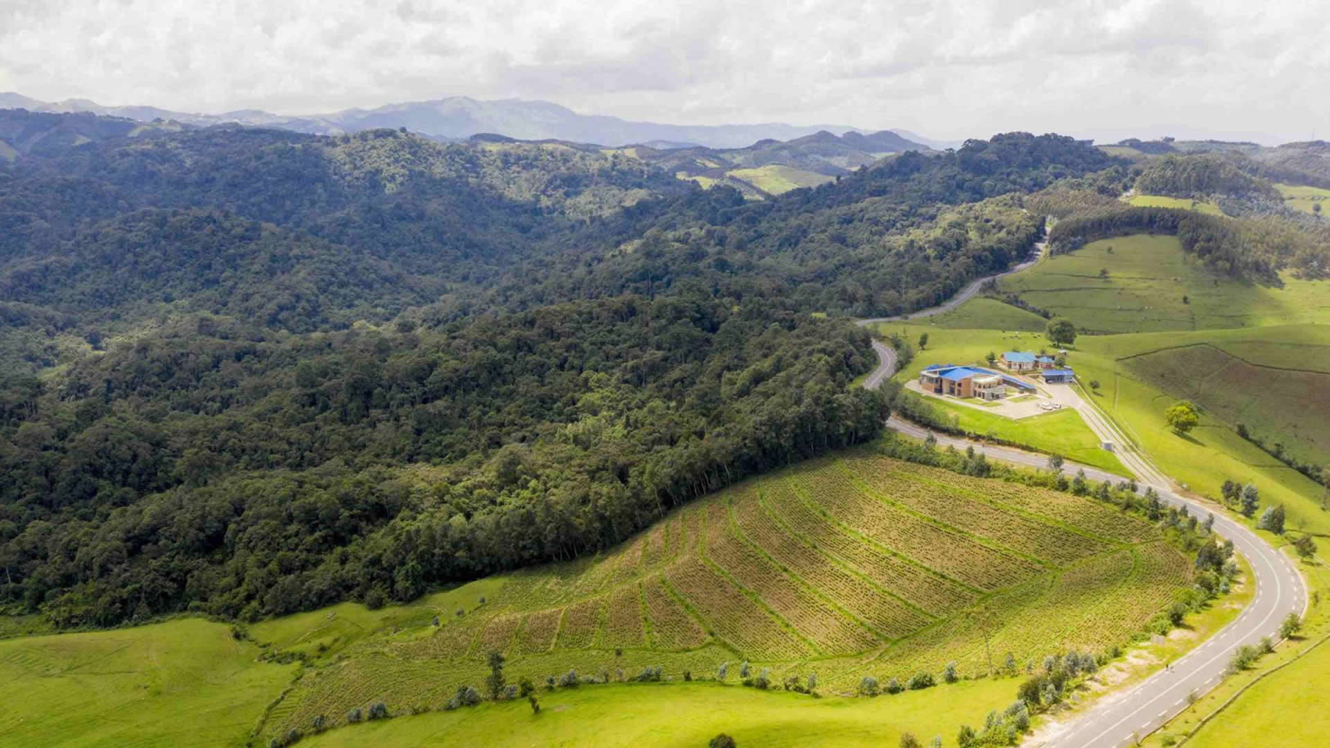 Gishwati Mukura National Park 