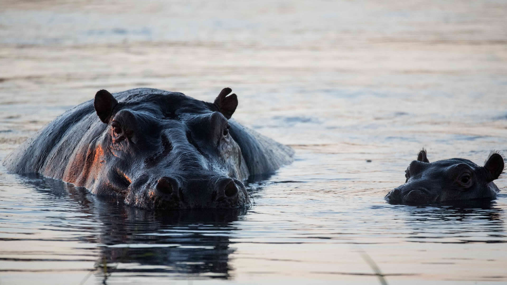 Katavi National Park 