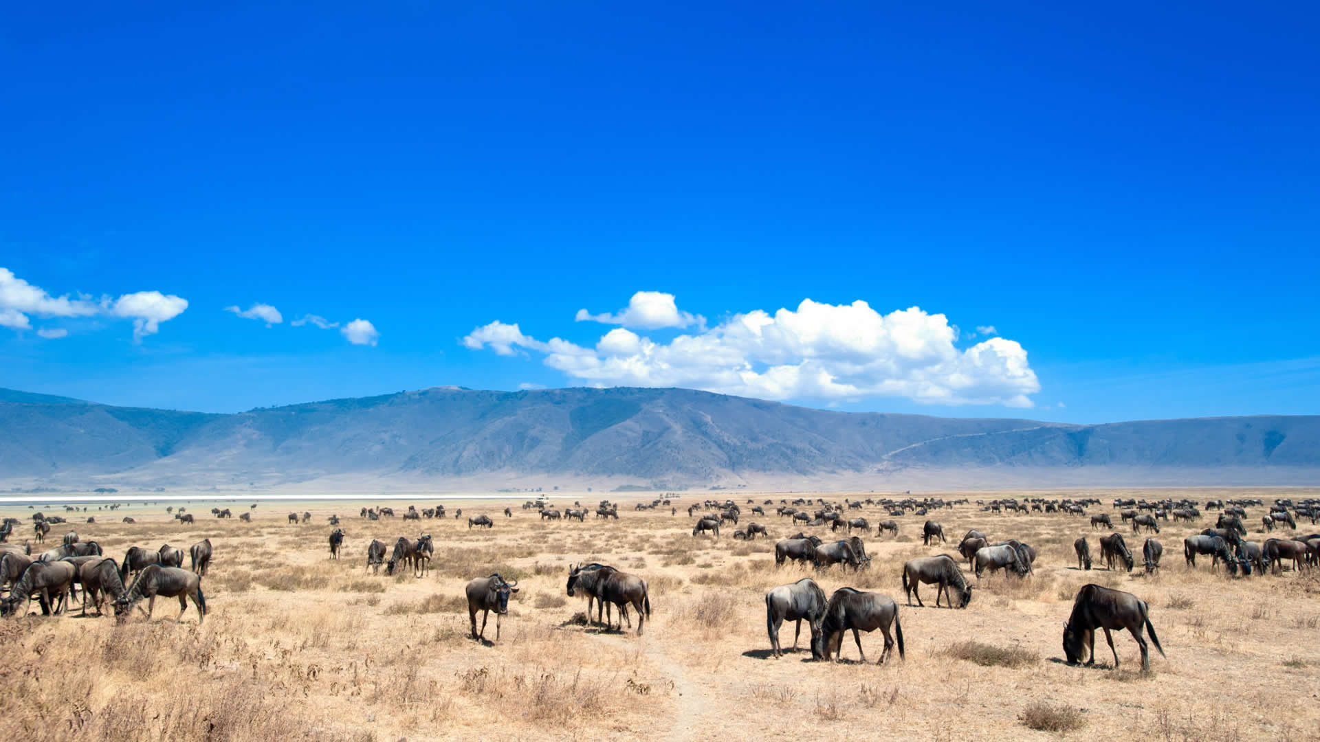 Ngorongoro Conservation Area