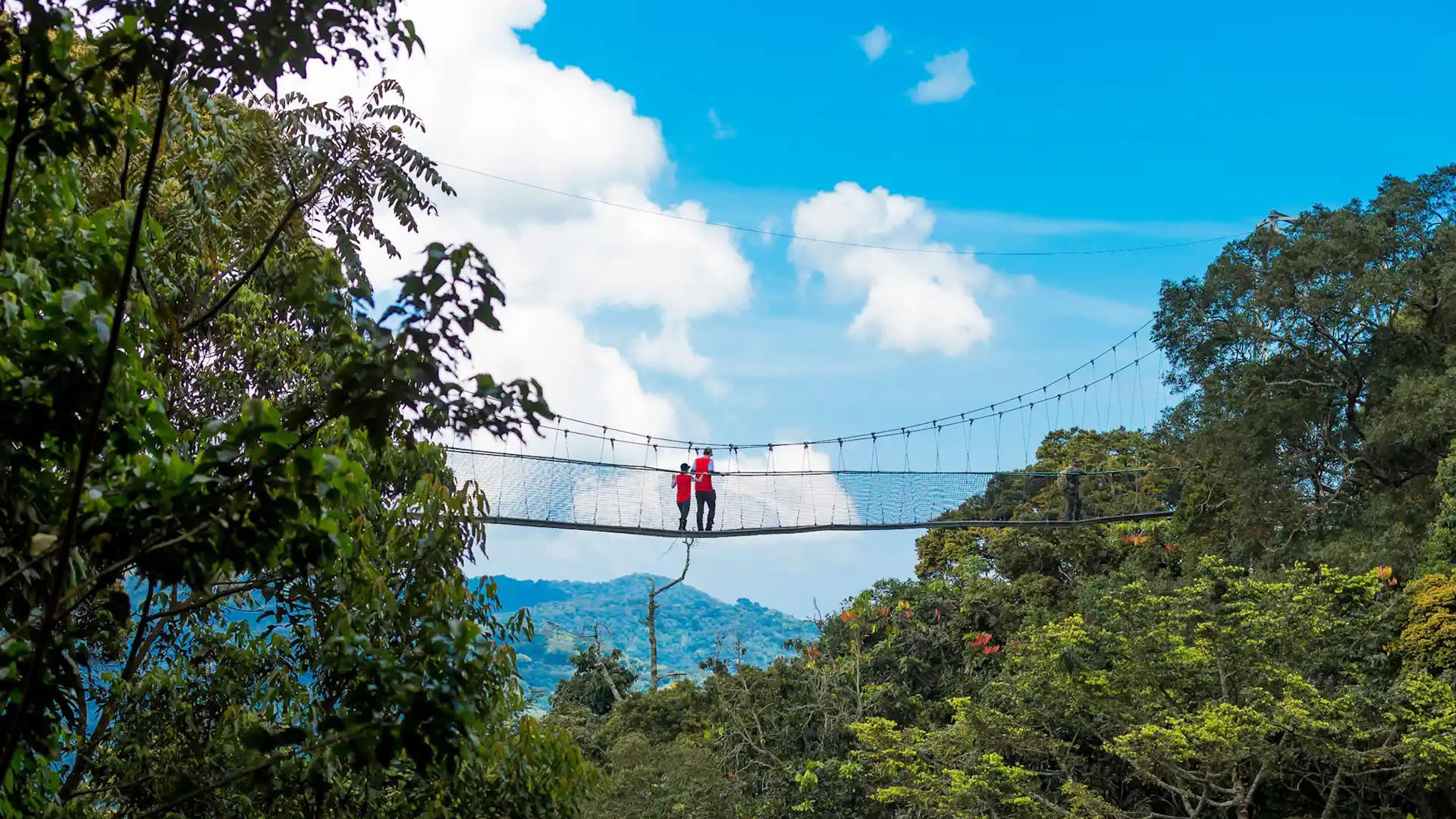 Nyungwe Forest National Park 