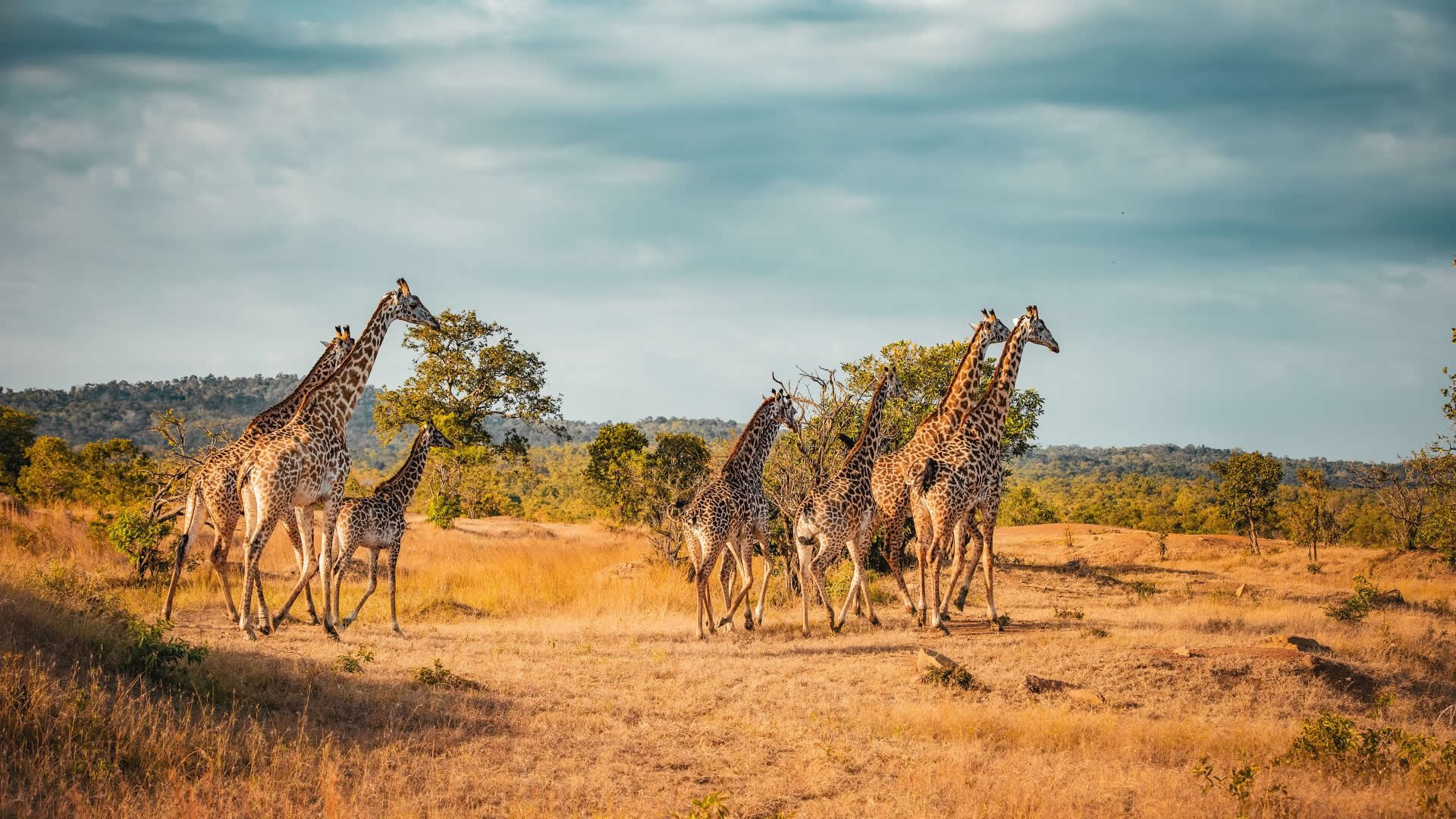Tarangire National Park