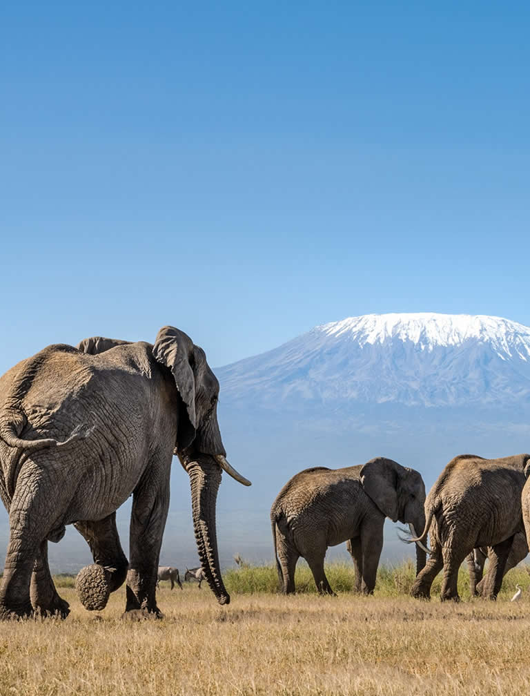 3 Days Amboseli Serena Lodge Road Safari 