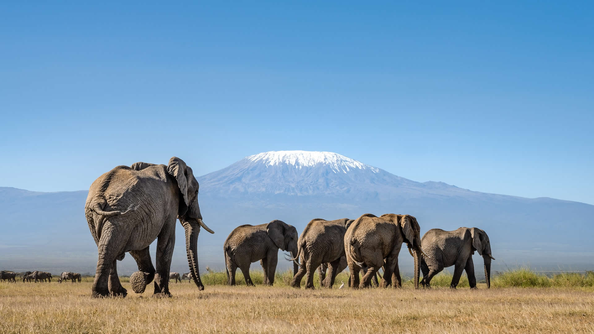 3 Days Amboseli Serena Lodge Road Safari
