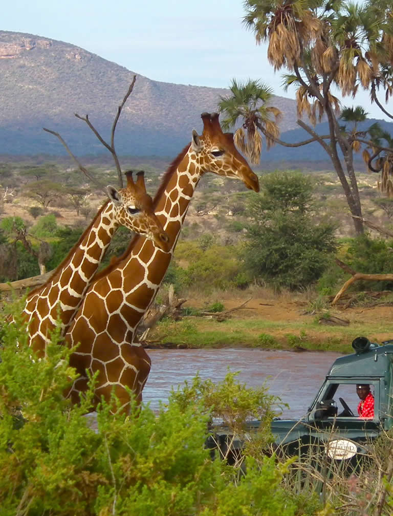 3 Days Sarova Shaba Flying Safari